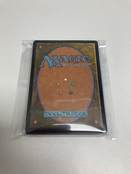 RARES Collection Lot of 30 MTG Magic The Gathering All Rare Cards Only Bulk Pack [Magic 30 Card Starter Packs]