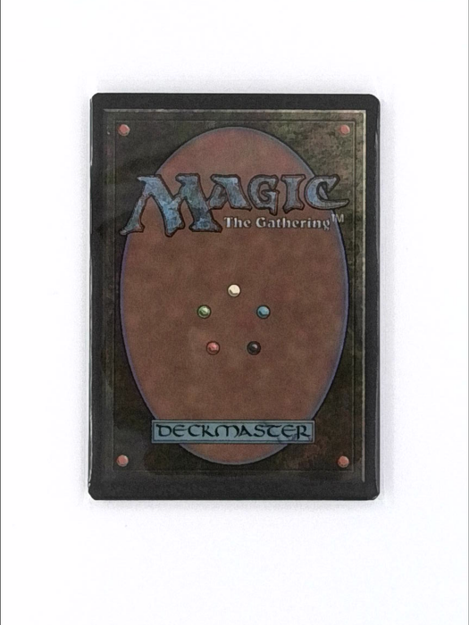 Filter Lands MTG Dual Lands Full Set All 10 Rare Untapped Magic Comman Gray Gauntlet Games Filter Lands MTG Dual Lands Full Set All 10 Rare Untapped Magic Comman Gray Gauntlet Games