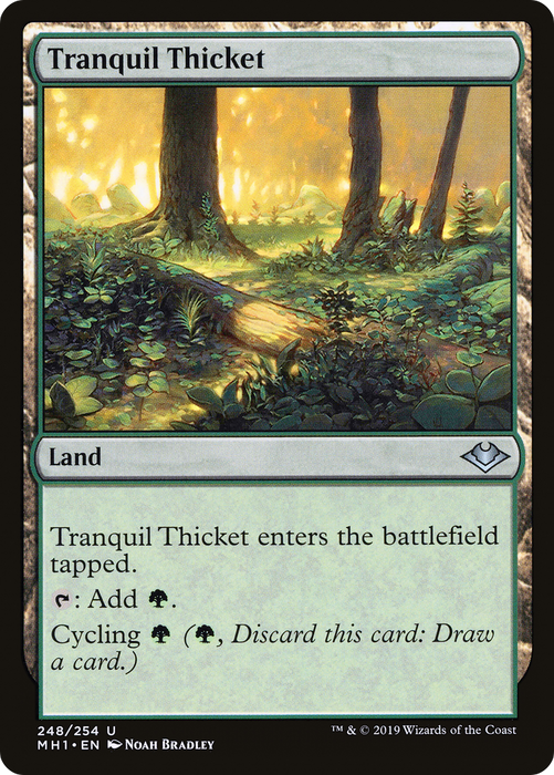 Tranquil Thicket [Modern Horizons]