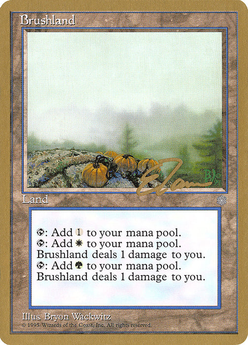 Brushland (Eric Tam) [Pro Tour Collector Set]