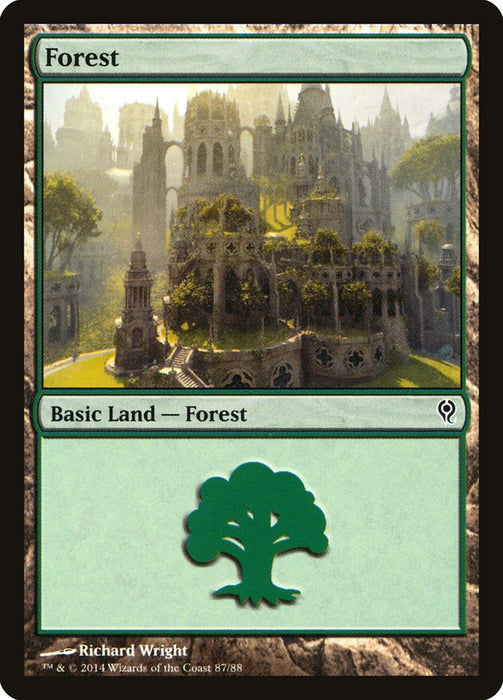 Forest (87) [Duel Decks: Jace vs. Vraska]