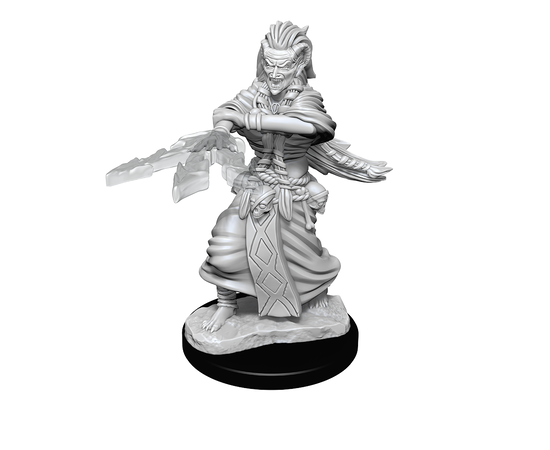 D&D Nolzur's Marvelous Unpainted Minis | Night Hag & Dusk Hag