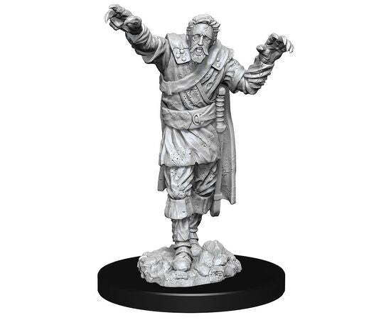 D&D Nolzur's Marvelous Unpainted Minis | Scarecrow & Stone Cursed
