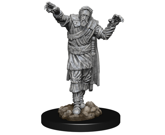 D&D Nolzur's Marvelous Unpainted Minis | Scarecrow & Stone Cursed